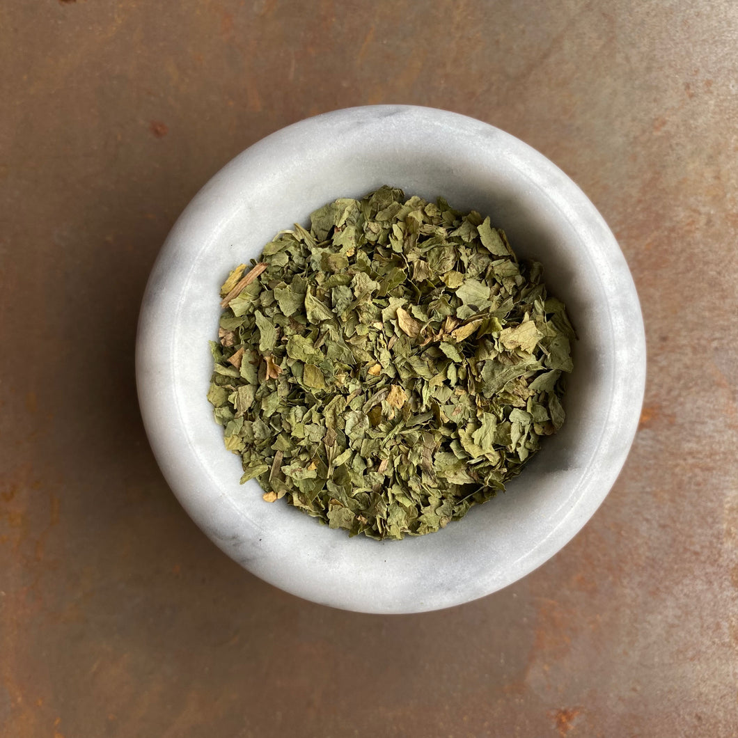 Cilantro