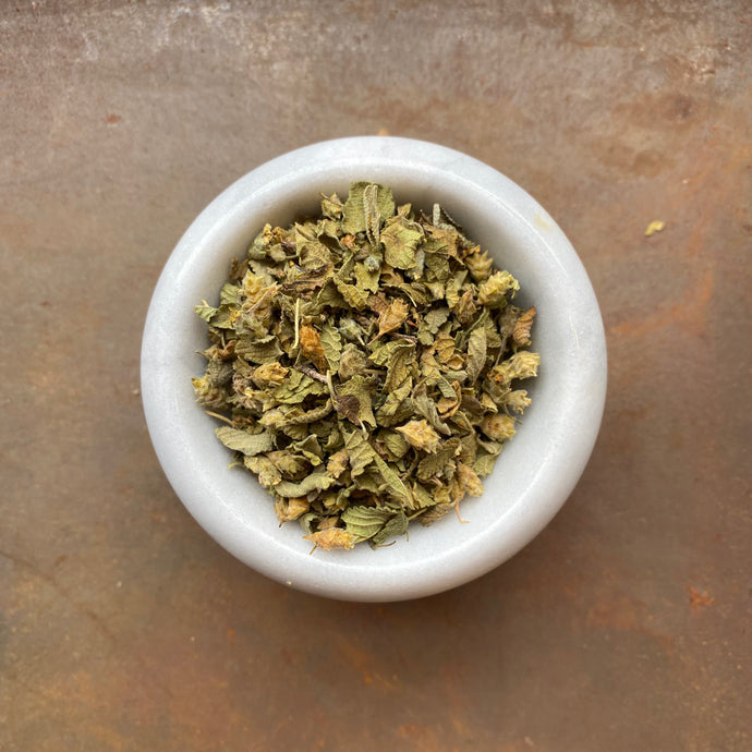 Oregano Mexican