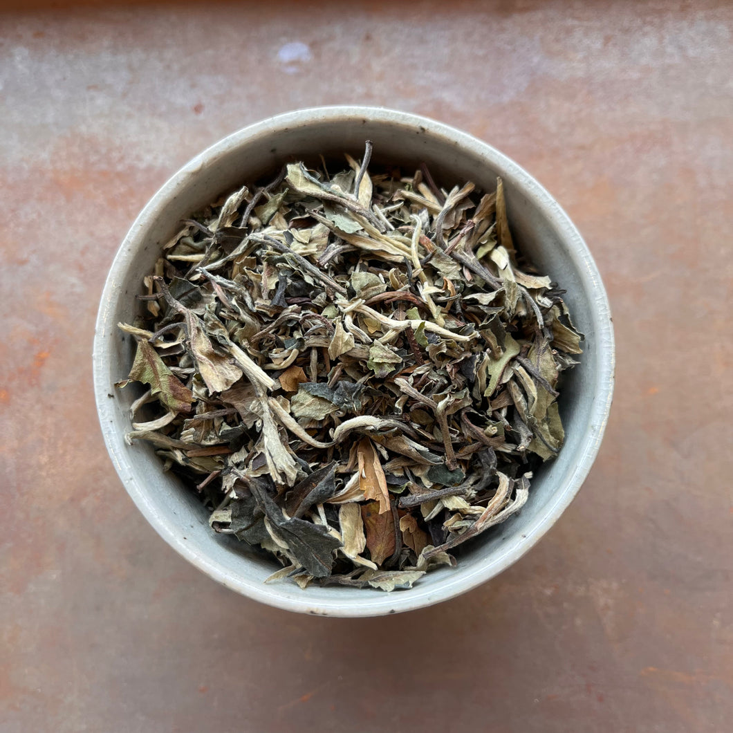 Pai Mu Tan White Tea
