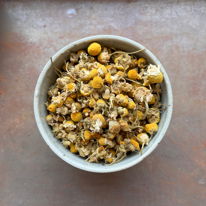 Egyptian Camomile Tea