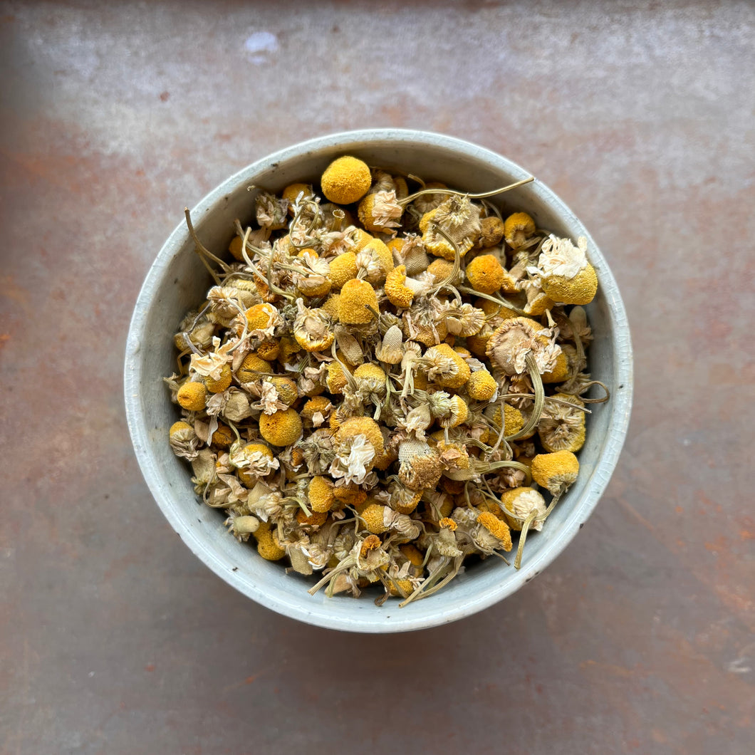 Egyptian Camomile Tea