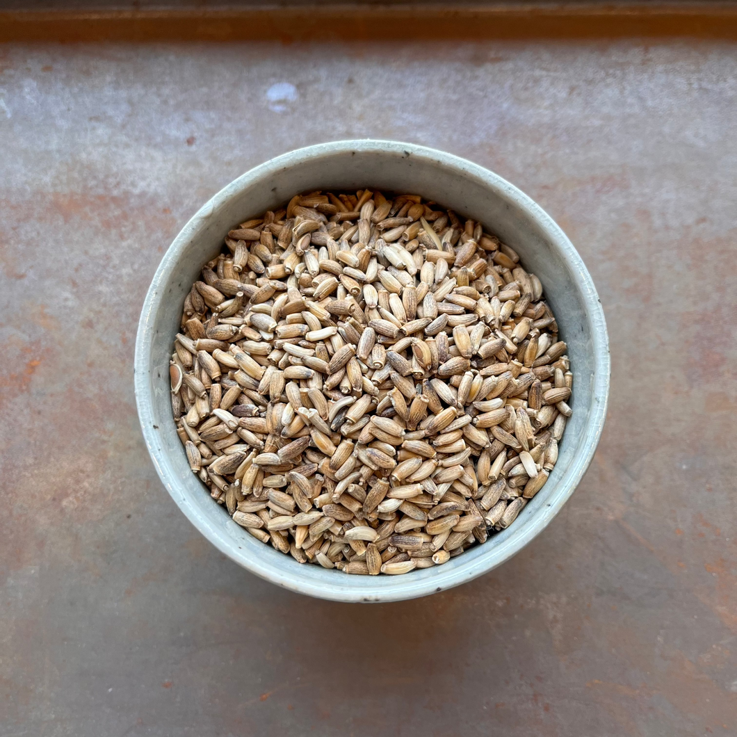 Milk Thistle Seed Tea