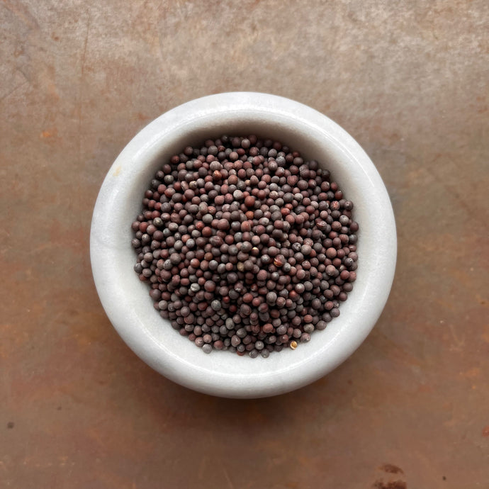 Mustard Seed Brown
