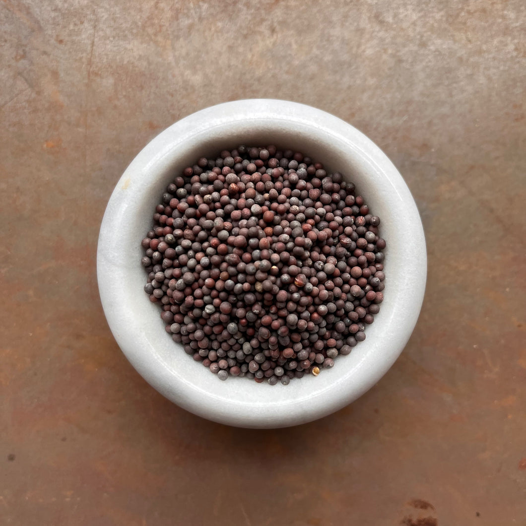 Mustard Seed Brown