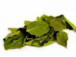 Makrut Lime Leaves